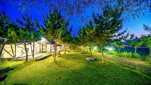 Seocheon Paintree Glamping - С бассейном