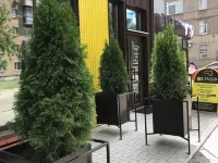 Lemon Loft Hotel トヴェリのホテル
