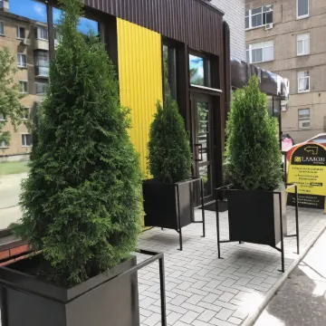 Лимон Лофт-Отель