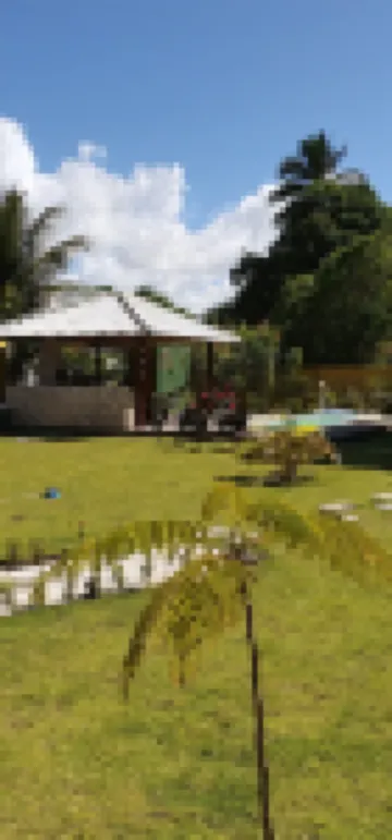 Cabana Rancho Fundo, uma Acomodação com ar de Campo a 5' da Beira mar 韋拉克魯斯酒店