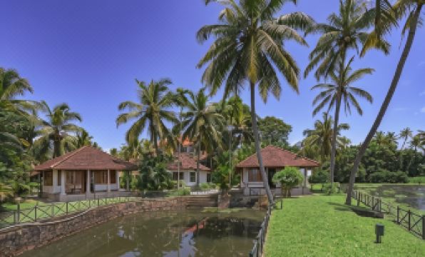 Backwater Ripples Kumarakom