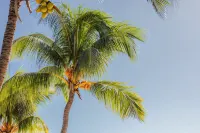 Cocotiers Hotel – Mauritius
