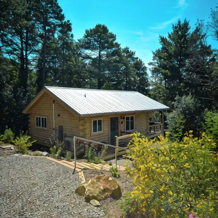 Cabin, Hot Tub, Fire Pit, 4 miles to Downtown AVL