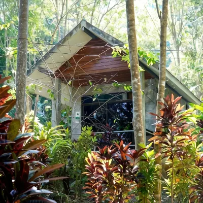 Maewin Resort Hotels near Chailai Orchid