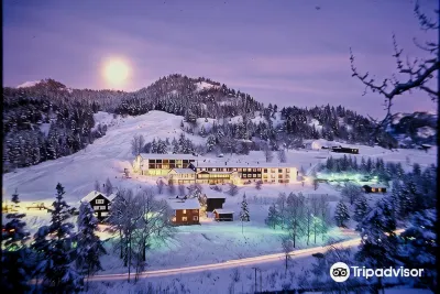 Morgedal Hotel - Unike Hoteller Hoteles en 