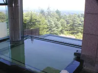 록우드 호텔 & 스파 - 온천