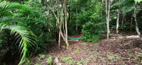 New! Villas 2ch forest, sea view, air conditioning, very quiet pool for 2 to 4 people - Wifi