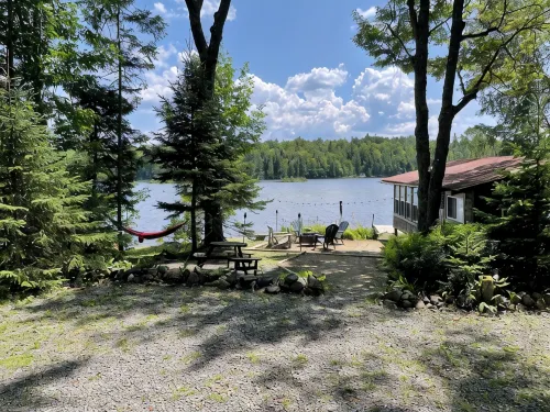 Cozy Adirondack cabin with private dock and kayaks, feet from Adirondack Lake