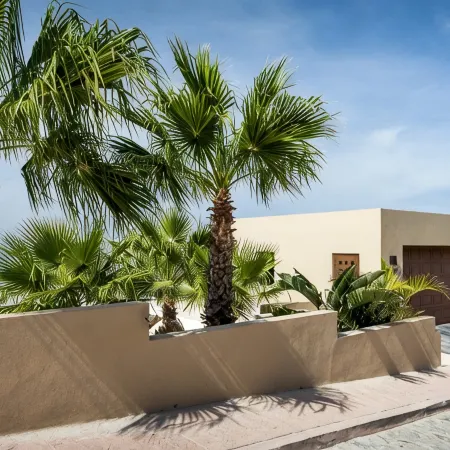 Luxury Staffed Pedregal Villa, 4th Night Free, Downtown Cabo!