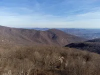 4 BR cabin mins to trails & breweries pets welcome