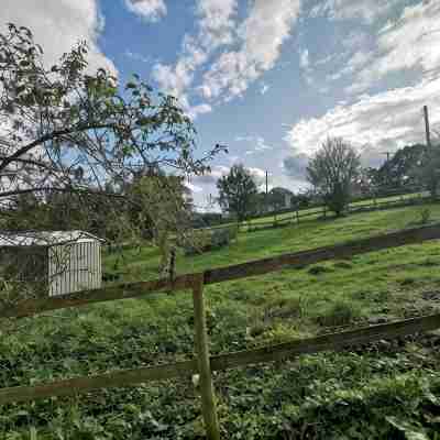 Fantastic self-catering apartment on the outskirts of Caerleon Hotel Exterior
