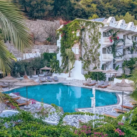 Flamingo Hotel & Spa - Pet Friendly