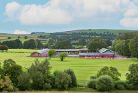 Brown Rigg Guest Rooms - Pet friendly