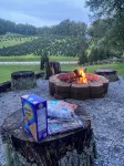 2 Views!  Front view of Lake Glenville & back view of Christmas Tree farm! - Chalets