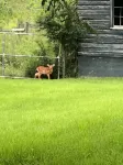 Peaceful Cottage Retreat - Wifi