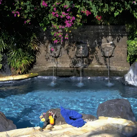 Poppies Bali