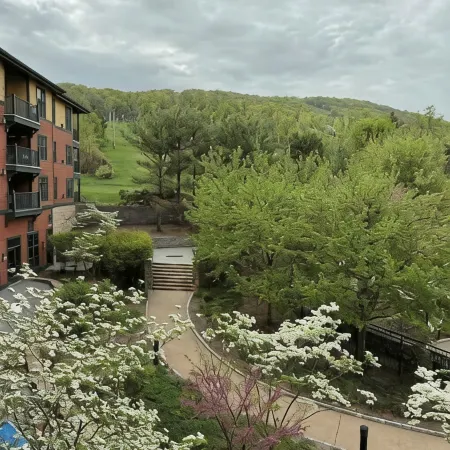 Condo at Mtn Creek Sleep 4 Mountain View 1 Bdr 1 Bath #308
