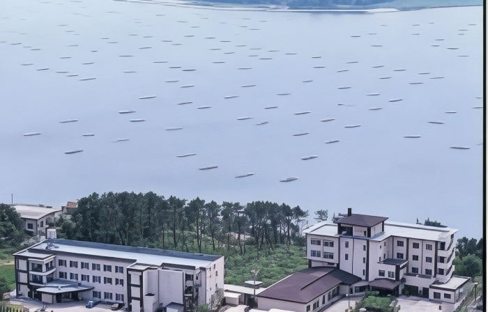 Hotel New Katsura