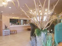 Apoa Hotel - 2-Star