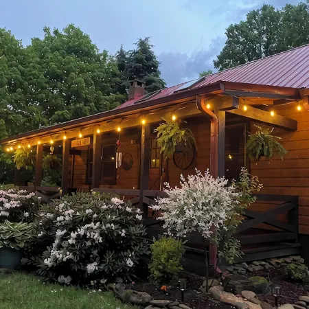 Peaceful Cabin Retreat  - 5 Miles to Downtown Blowing Rock!