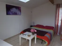 CALM STUDIO IN A GREEN SETTING - 2-Star