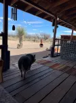 Ranchito Paraiso: Pet-friendly Rustic Elegance in the Desert - Alppimaja