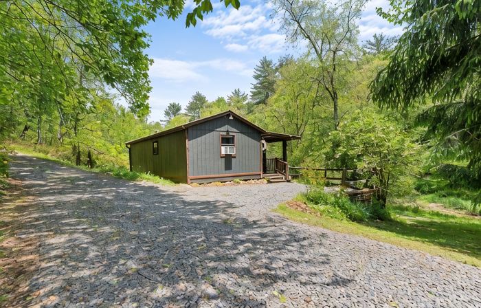 Creekside Vibes - 1 Bedroom Cozy Cabin w/ Outdoor Fire Pit + Pet Friendly!