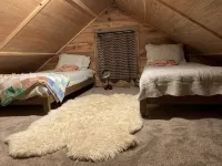 Remote cabin with creek and waterfall views 10 min from town - 2-Star
