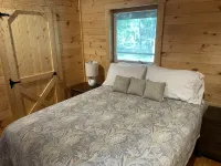 Peace on the river. Wakulla springs nearby. Wakulla River adjoins property - balcony