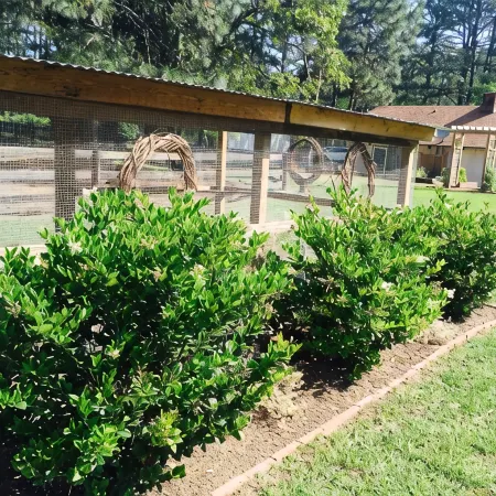 Tanglewood Farm - Fox Den Suite 1 Br/1BA Private Apartment on Horse Farm
