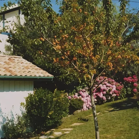 In garden charm and comfort for the independent annex building of the Villa