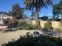 Dog Friendly, Allergen-free 5 minute walk to the bay and eateries - Wifi