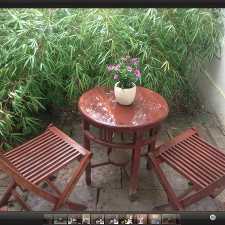 Apartmenthaus Saxonia