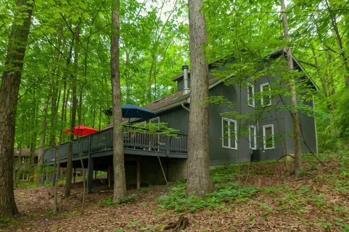 Coolfont 4 Bdrm, Lots of Beds! Cozy Wooded Cottage. - WiFi