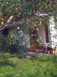 Apartment in a green idyll on the edge of Chemnitz - Kitchens