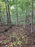 Curve Cottage located on The Rattlesnake 192 just outside of Somerset. - 4-Star