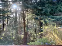 Large house Up in the Redwoods perfect for large families. Pet friendly. - Wifi