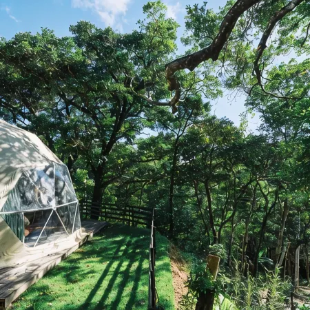 GLAMFOREST OKINAWA NAGO
