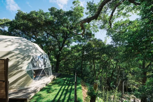 GLAMFOREST OKINAWA NAGO - Mountain view
