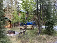 Kenai riverfront log cabin, perfect for fishing, close to town - Chalets