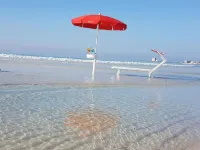 Hotel Ristorante L'Angolo di Beppe - ALBERGO NEL SALENTO a pochi metri dalla spiaggia libera di TORRE LAPILLO Porto Cesareo - pet friendly