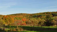 Manor House BnB, Soaking Tub, Pet Friendly - Wi-Fi