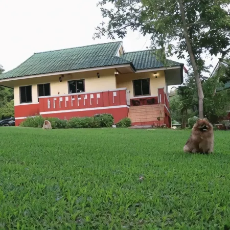 ViangPhing Resort