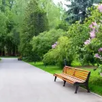 Art House of Gosteleradio Ussr