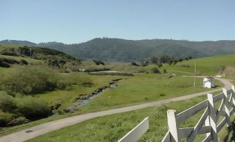 Point Reyes Vineyard Inn