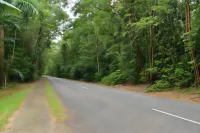 Wait-a-While Eco Retreat Hotels in Daintree