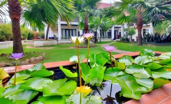 Sunrise Garden House - Luang Prabang