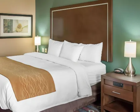 Comfort Inn & Suites San Marcos