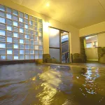 Yumura Onsen Hakuuntei Hotels in Shinonsen