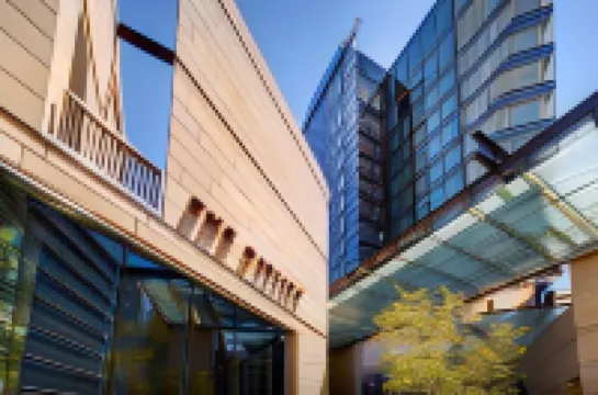 The Darling at the Star